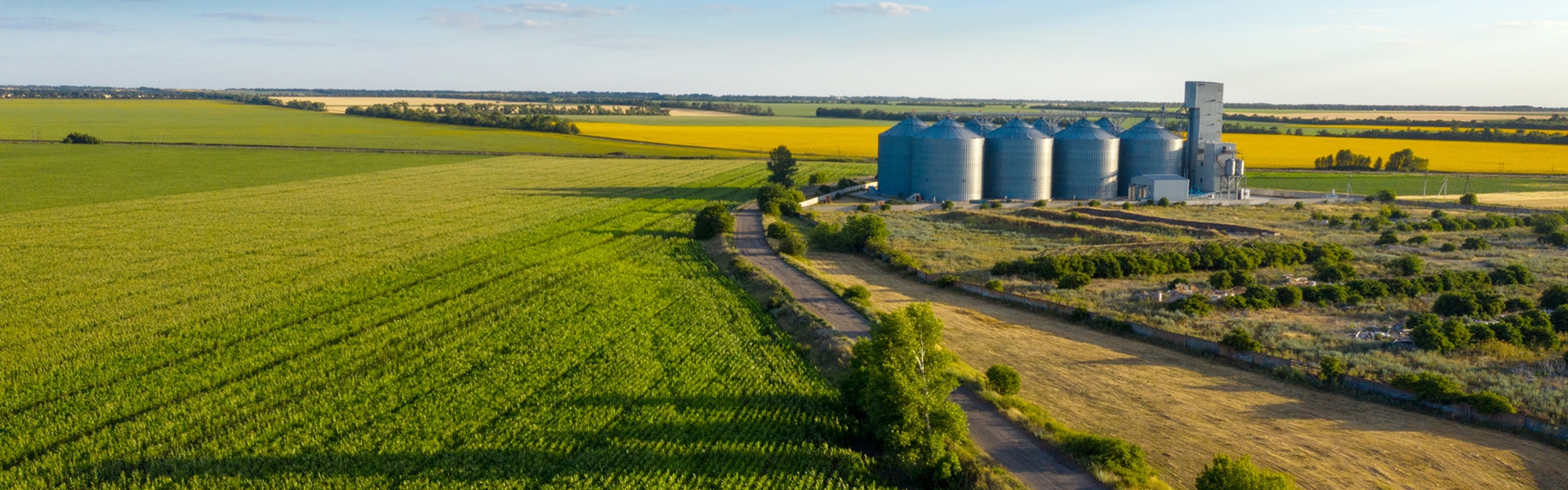 What is a circular economy